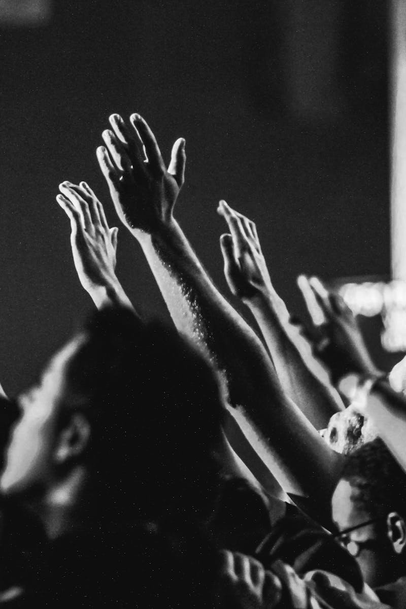 Dynamic black and white photo of a concert audience with hands raised, capturing the energy of live music.